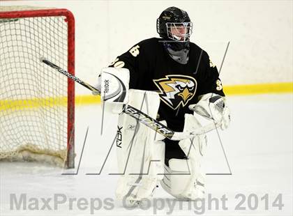 Thumbnail 2 in Joel Barlow @ Shepaug/Litchfield/Nonnewaug photogallery.