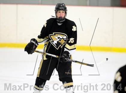 Thumbnail 3 in Joel Barlow @ Shepaug/Litchfield/Nonnewaug photogallery.