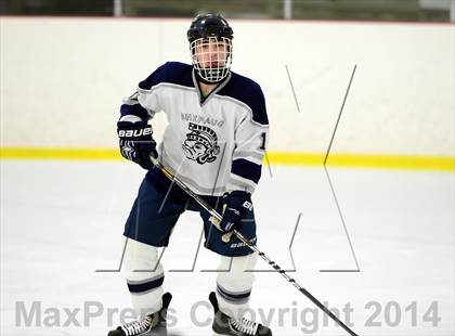 Thumbnail 3 in Joel Barlow @ Shepaug/Litchfield/Nonnewaug photogallery.