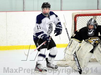 Thumbnail 3 in Joel Barlow @ Shepaug/Litchfield/Nonnewaug photogallery.