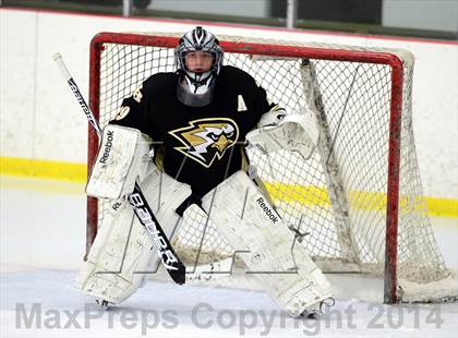 Thumbnail 3 in Joel Barlow @ Shepaug/Litchfield/Nonnewaug photogallery.