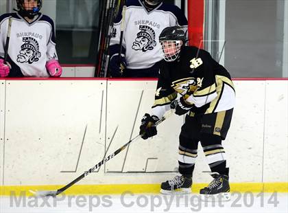 Thumbnail 3 in Joel Barlow @ Shepaug/Litchfield/Nonnewaug photogallery.