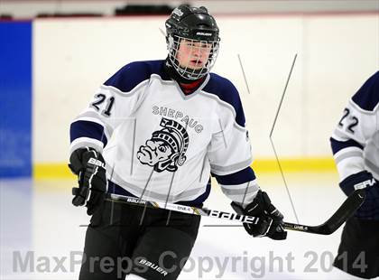 Thumbnail 1 in Joel Barlow @ Shepaug/Litchfield/Nonnewaug photogallery.