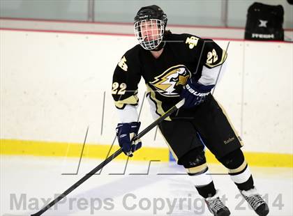 Thumbnail 3 in Joel Barlow @ Shepaug/Litchfield/Nonnewaug photogallery.