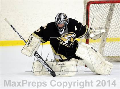 Thumbnail 1 in Joel Barlow @ Shepaug/Litchfield/Nonnewaug photogallery.