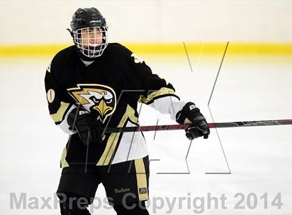 Thumbnail 2 in Joel Barlow @ Shepaug/Litchfield/Nonnewaug photogallery.