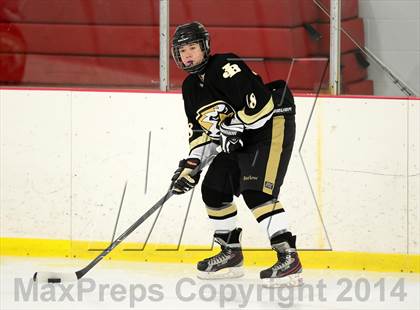Thumbnail 3 in Joel Barlow @ Shepaug/Litchfield/Nonnewaug photogallery.