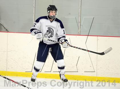 Thumbnail 1 in Joel Barlow @ Shepaug/Litchfield/Nonnewaug photogallery.