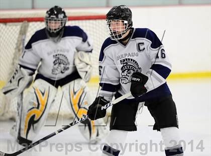 Thumbnail 3 in Joel Barlow @ Shepaug/Litchfield/Nonnewaug photogallery.