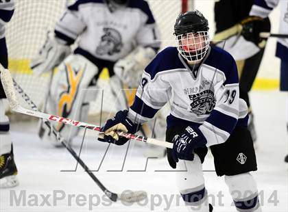 Thumbnail 1 in Joel Barlow @ Shepaug/Litchfield/Nonnewaug photogallery.