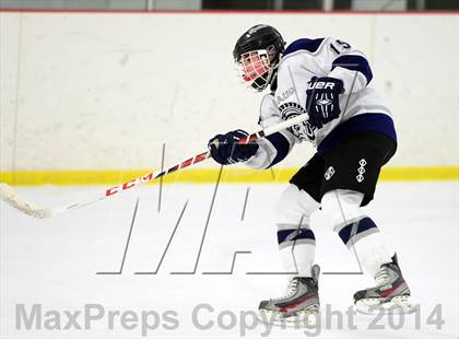 Thumbnail 2 in Joel Barlow @ Shepaug/Litchfield/Nonnewaug photogallery.