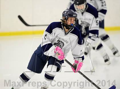 Thumbnail 1 in Joel Barlow @ Shepaug/Litchfield/Nonnewaug photogallery.