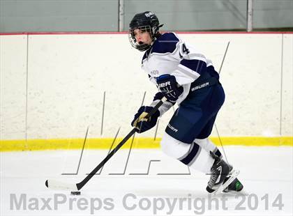 Thumbnail 1 in Joel Barlow @ Shepaug/Litchfield/Nonnewaug photogallery.