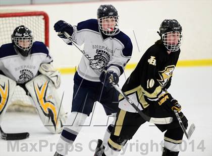 Thumbnail 3 in Joel Barlow @ Shepaug/Litchfield/Nonnewaug photogallery.