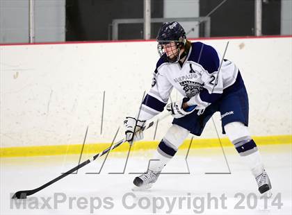 Thumbnail 3 in Joel Barlow @ Shepaug/Litchfield/Nonnewaug photogallery.