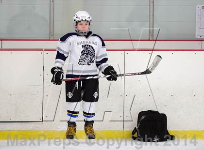 Thumbnail 1 in Joel Barlow @ Shepaug/Litchfield/Nonnewaug photogallery.