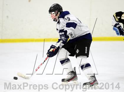 Thumbnail 2 in Joel Barlow @ Shepaug/Litchfield/Nonnewaug photogallery.