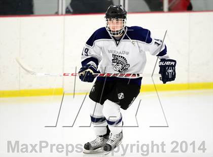 Thumbnail 2 in Joel Barlow @ Shepaug/Litchfield/Nonnewaug photogallery.
