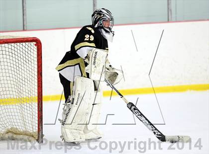 Thumbnail 3 in Joel Barlow @ Shepaug/Litchfield/Nonnewaug photogallery.