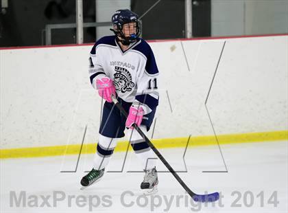 Thumbnail 2 in Joel Barlow @ Shepaug/Litchfield/Nonnewaug photogallery.