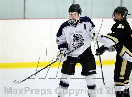 Thumbnail 1 in Joel Barlow @ Shepaug/Litchfield/Nonnewaug photogallery.