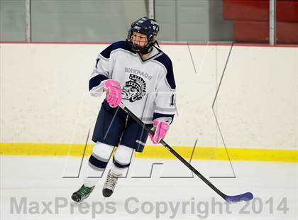 Thumbnail 2 in Joel Barlow @ Shepaug/Litchfield/Nonnewaug photogallery.