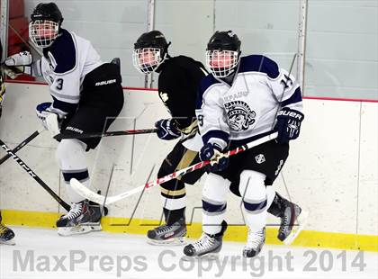Thumbnail 3 in Joel Barlow @ Shepaug/Litchfield/Nonnewaug photogallery.