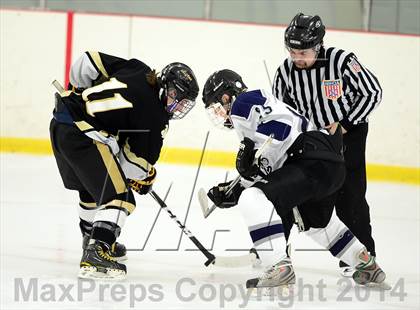 Thumbnail 1 in Joel Barlow @ Shepaug/Litchfield/Nonnewaug photogallery.