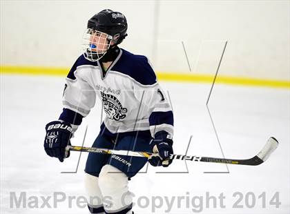 Thumbnail 3 in Joel Barlow @ Shepaug/Litchfield/Nonnewaug photogallery.