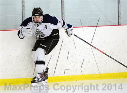 Thumbnail 3 in Joel Barlow @ Shepaug/Litchfield/Nonnewaug photogallery.