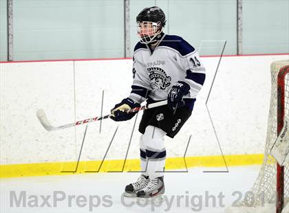 Thumbnail 1 in Joel Barlow @ Shepaug/Litchfield/Nonnewaug photogallery.
