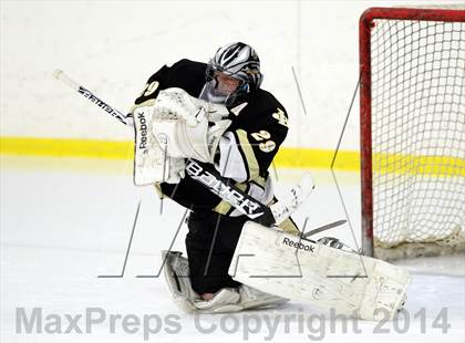 Thumbnail 3 in Joel Barlow @ Shepaug/Litchfield/Nonnewaug photogallery.