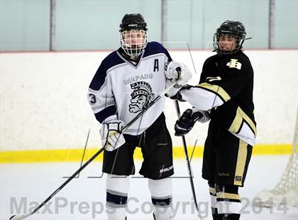Thumbnail 2 in Joel Barlow @ Shepaug/Litchfield/Nonnewaug photogallery.