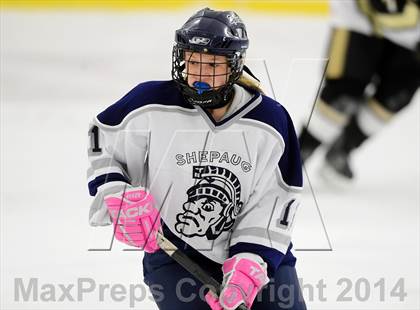 Thumbnail 3 in Joel Barlow @ Shepaug/Litchfield/Nonnewaug photogallery.