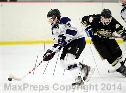 Thumbnail 1 in Joel Barlow @ Shepaug/Litchfield/Nonnewaug photogallery.