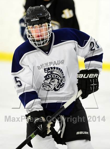 Thumbnail 1 in Joel Barlow @ Shepaug/Litchfield/Nonnewaug photogallery.