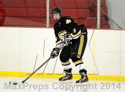 Thumbnail 2 in Joel Barlow @ Shepaug/Litchfield/Nonnewaug photogallery.