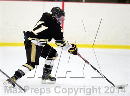 Thumbnail 1 in Joel Barlow @ Shepaug/Litchfield/Nonnewaug photogallery.