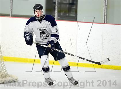 Thumbnail 3 in Joel Barlow @ Shepaug/Litchfield/Nonnewaug photogallery.