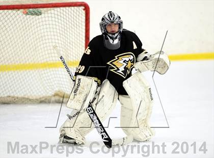 Thumbnail 1 in Joel Barlow @ Shepaug/Litchfield/Nonnewaug photogallery.