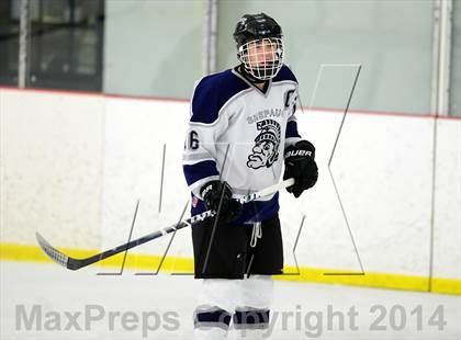 Thumbnail 1 in Joel Barlow @ Shepaug/Litchfield/Nonnewaug photogallery.
