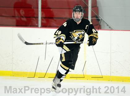 Thumbnail 3 in Joel Barlow @ Shepaug/Litchfield/Nonnewaug photogallery.