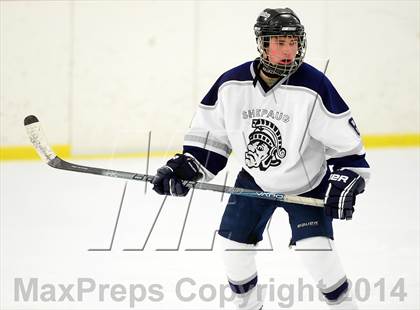 Thumbnail 1 in Joel Barlow @ Shepaug/Litchfield/Nonnewaug photogallery.