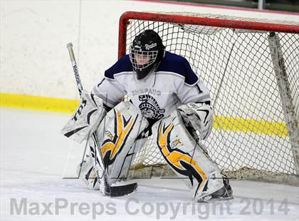 Thumbnail 3 in Joel Barlow @ Shepaug/Litchfield/Nonnewaug photogallery.