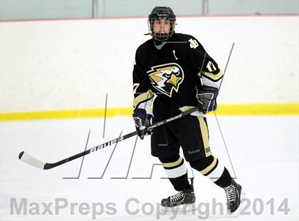 Thumbnail 2 in Joel Barlow @ Shepaug/Litchfield/Nonnewaug photogallery.