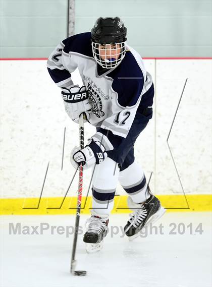 Thumbnail 3 in Joel Barlow @ Shepaug/Litchfield/Nonnewaug photogallery.