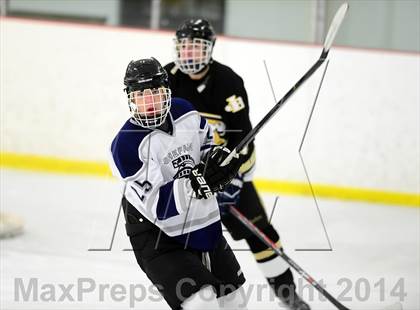 Thumbnail 3 in Joel Barlow @ Shepaug/Litchfield/Nonnewaug photogallery.
