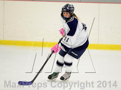 Thumbnail 3 in Joel Barlow @ Shepaug/Litchfield/Nonnewaug photogallery.