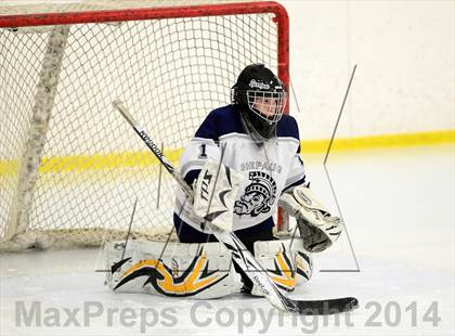 Thumbnail 2 in Joel Barlow @ Shepaug/Litchfield/Nonnewaug photogallery.