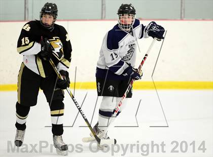 Thumbnail 3 in Joel Barlow @ Shepaug/Litchfield/Nonnewaug photogallery.
